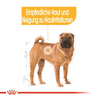 Empfindliche Haut und Neigung zu Hautirritationen. Illustration eines Hundes mit markierter Stelle auf der Haut.