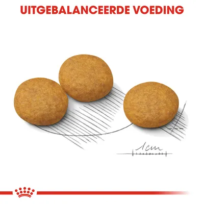 Drie ronde brokken met schaaltekening en maatstreep van 1 cm, tekst: 'UITGEBALANCEERDE VOEDING' in rood bovenaan.