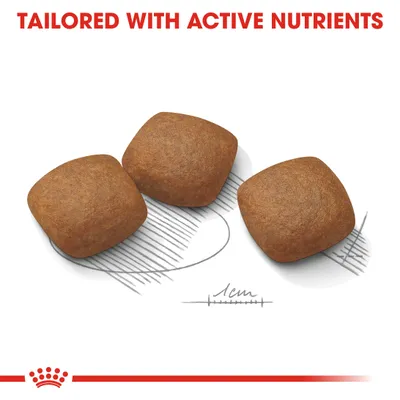 Three square-shaped kibble pieces shown with a 1cm scale and the text 'Tailored with active nutrients' above, highlighting nutrient content and kibble size.
