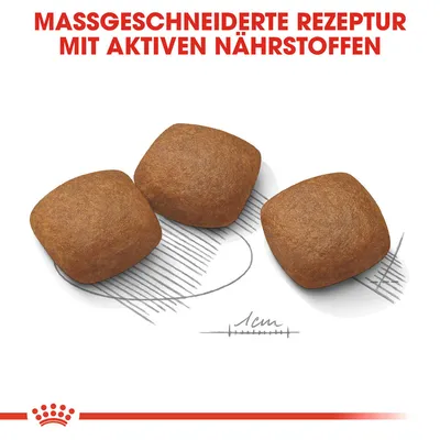 Trois croquettes carrées avec échelle de taille 1 cm, texte en allemand : MASSGESCHNEIDERTE REZEPTUR MIT AKTIVEN NÄHRSTOFFEN.