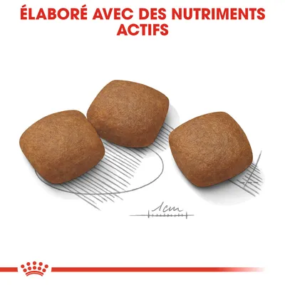 Trois croquettes carrées, texte en haut : « ÉLABORÉ AVEC DES NUTRIMENTS ACTIFS », échelle de taille indiquant 1 cm.