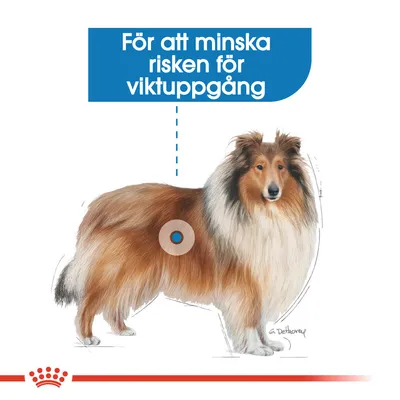 För att minska risken för viktuppgång