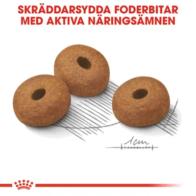 Tre skräddarsydda foderbitar, cirka 1 cm stora, med texten: 'Skräddarsydda foderbitar med aktiva näringsämnen' överst i bilden.