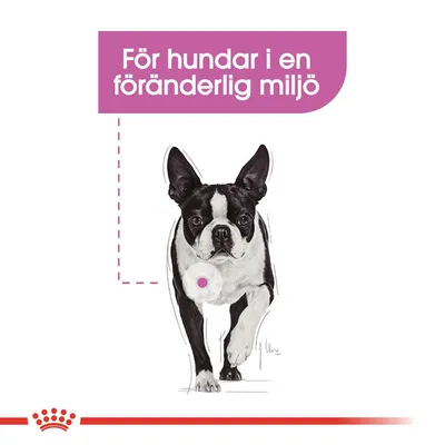 Text: För hundar i en föränderlig miljö. Illustration av svartvit hund, Royal Canin-symbol längst ner.