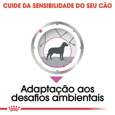 Texto: Cuide da sensibilidade do seu cão. Adaptação aos desafios ambientais. Ilustração de cão com setas à volta, sugerindo proteção ambiental.