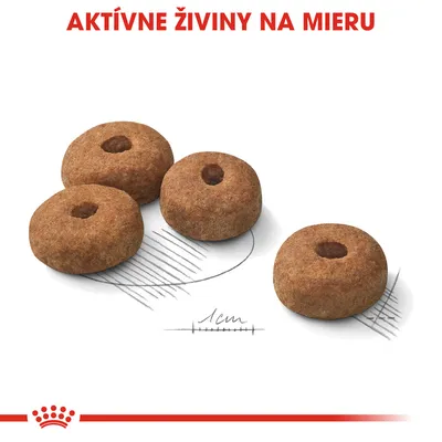 Štyri granule s otvorom uprostred, priemer približne 1 cm. Text: AKTÍVNE ŽIVINY NA MIERU. Značka Royal Canin.