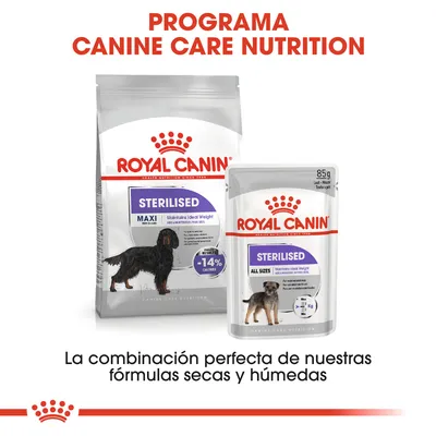 ROYAL CANIN STERILISED MAXI y ALL SIZES, comida seca y húmeda para perros. Texto: Programa Canine Care Nutrition. La combinación perfecta de nuestras fórmulas secas y húmedas.
