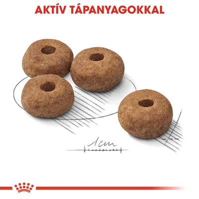 Négy kör alakú száraztáp szem, felül piros szöveg: AKTÍV TÁPANYAGOKKAL, alul méretjelzés: 1 cm. Márkajelzés: Royal Canin.