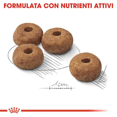 Quattro crocchette rotonde con foro centrale, diametro indicato 1 cm. Testo visibile: FORMULATA CON NUTRIENTI ATTIVI.