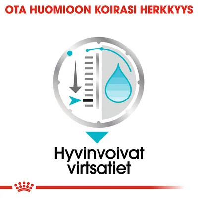 Ota huomioon koirasi herkkyys. Hyvinvoivat virtsatiet -teksti ja symboli, jossa nuolia, asteikko ja sininen vesipisara.