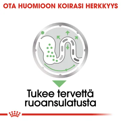 Ota huomioon koirasi herkkyys. Tukee tervettä ruoansulatusta. Kuvassa suolisto ja vihreitä nuolia, Royal Canin -koriste alareunassa.
