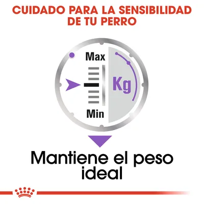 Cuidado para la sensibilidad de tu perro. Indicador con escala de peso en kg, de Min a Max. Texto: Mantiene el peso ideal.
