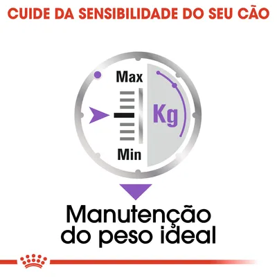 Texto: 'Cuide da sensibilidade do seu cão'. Ilustração de escala com 'Max', 'Min', 'Kg' e seta. Texto: 'Manutenção do peso ideal'.