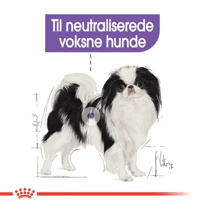 Tekst: Til neutraliserede voksne hunde. Illustration af sort-hvid hund med lang pels. Rød krone og streg nederst i billedet.