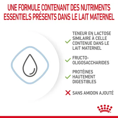 Une formule contenant des nutriments essentiels présents dans le lait maternel : teneur en lactose similaire, fructo-oligosaccharides, protéines hautement digestibles, sans amidon ajouté.