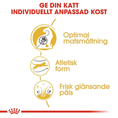 Ge din katt individuellt anpassad kost. Optimal matsmältning, atletisk form, frisk glänsande päls.