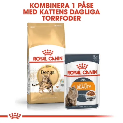 Royal Canin Bengal torrfoderpåse och Royal Canin Intense Beauty våtfoder 85 g. Text: Kombinera 1 påse med kattens dagliga torrfoder.