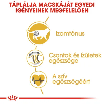 Táplálja macskáját egyedi igényeinek megfelelően. Izomtónus, csontok és ízületek egészsége, a szív egészségéért.