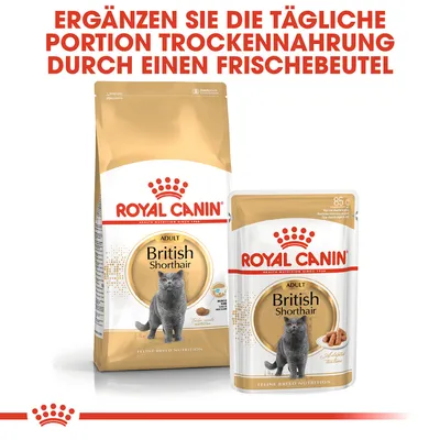 Royal Canin Adult British Shorthair Trockenfutter und Frischebeutel. Ergänzen Sie die tägliche Portion Trockenfutter durch einen Frischebeutel.