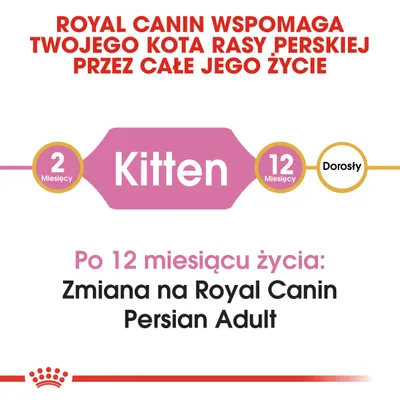 ROYAL CANIN wspomaga kota perskiego przez całe życie. 2 miesiące Kitten, 12 miesięcy Dorosły. Po 12 miesiącu: zmiana na Royal Canin Persian Adult.