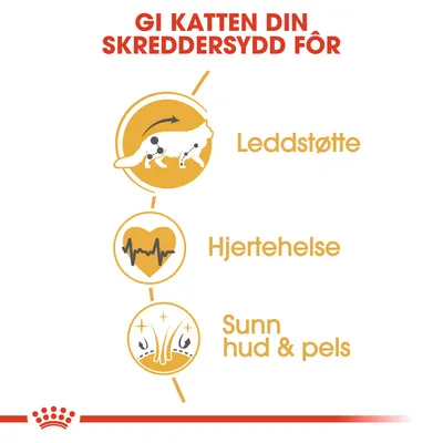 Royal Canin Maine Coon Adult