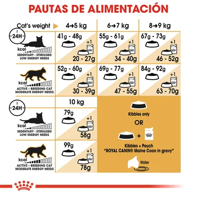 Tabla de pautas de alimentación para gatos según peso y nivel de actividad, con cantidades en gramos para pienso solo o combinado con sobre Royal Canin Maine Coon in gravy. Incluye iconos explicativos.