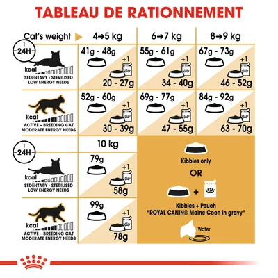 Tableau de rationnement pour chats Maine Coon : quantités de croquettes et sachets selon poids (4–10 kg) et niveau d’activité, options croquettes seules ou avec sachet Royal Canin.