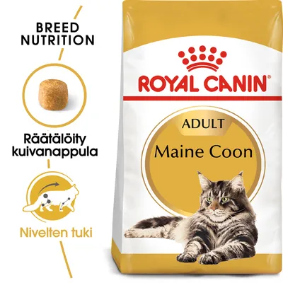 Royal Canin Adult Maine Coon -kuivaruokapakkaus, tekstit: Räätälöity kuivanappula, Nivelten tuki, BREED NUTRITION. Kuvassa myös nappulan muoto ja Maine Coon -kissa.