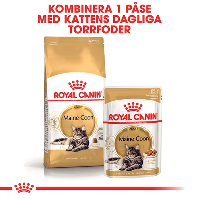 Royal Canin Maine Coon Adult i sås