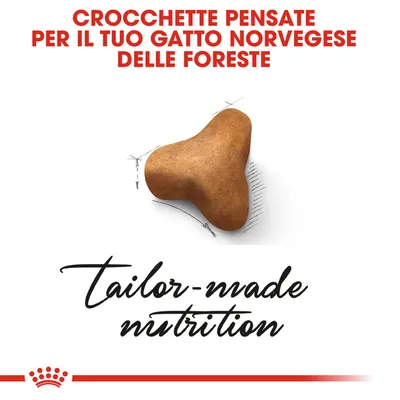 CROCCHETTE PENSATE PER IL TUO GATTO NORVEGESE DELLE FORESTE, tailor-made nutrition. Crocchetta marrone a tre punte su sfondo bianco.