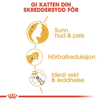 Royal Canin Norwegian Forest Cat Adult