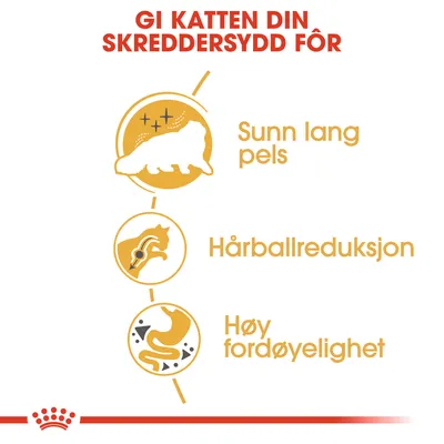 Royal Canin Persian Adult