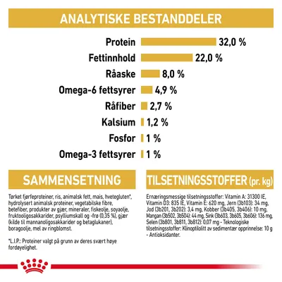 Royal Canin Persian Kitten