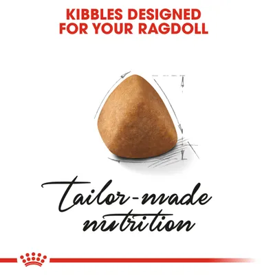Kibbles designed for your Ragdoll. Tailor-made nutrition.