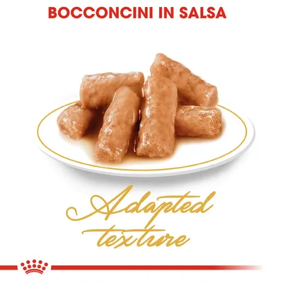 Bocconcini in salsa su piatto bianco, testo visibile: Adapted texture