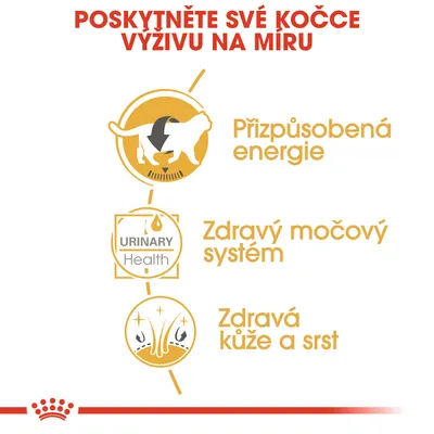 Přizpůsobená energie, zdravý močový systém, zdravá kůže a srst. URINARY Health. Poskytněte své kočce výživu na míru.