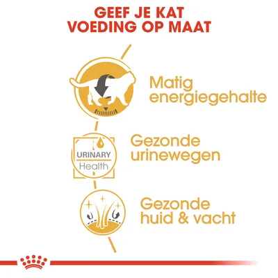 Geef je kat voeding op maat: matig energiegehalte, gezonde urinewegen (URINARY Health), gezonde huid & vacht. Drie pictogrammen tonen deze producteigenschappen.