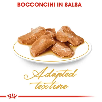 Bocconcini in salsa su piatto bianco, testo visibile: 'BOCCONCINI IN SALSA' e 'Adapted texture'