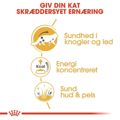 Giv din kat skræddersyet ernæring. Sundhed i knogler og led, energi koncentreret, sund hud & pels. Kcal nævnt ved energiniveau.