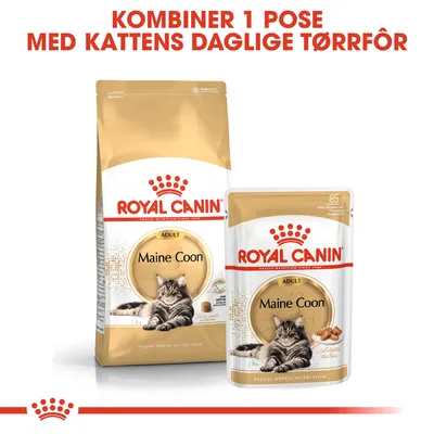 Royal Canin Maine Coon Adult i saus
