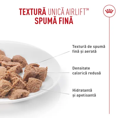 Textură fină, aerată de spumă, densitate calorică scăzută, hidratantă și apetisantă. Prezentarea bucăților de hrană pe o farfurie. Textură fină, aerată de spumă, densitate calorică scăzută, hidratantă și apetisantă. Prezentarea bucăților de hrană pe o farfurie.