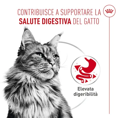 Royal Canin Digestive Care AirLift Mousse