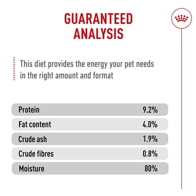 Royal Canin Digestive Care AirLift™ Mousse