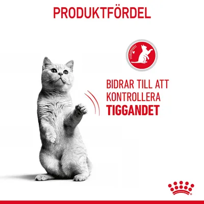 Text: PRODUKTFÖRDEL. Bidrar till att kontrollera tiggandet. Bild på katt och röd ikon med sittande katt. Royal Canin-symbol synlig längst ner.