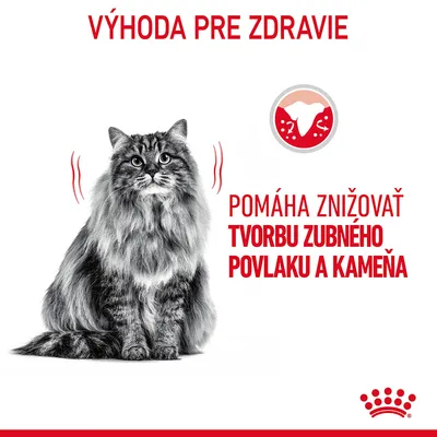 Výhoda pre zdravie. Pomáha znižovať tvorbu zubného povlaku a kameňa. Obrázok dlhosrstej mačky, ikona zuba s povlakom, značka Royal Canin.
