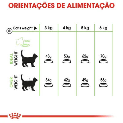 Tabela de orientações de alimentação para gatos: peso 3–6 kg, doses diárias para peso ideal (43–70 g) e excesso de peso (34–56 g). Inclui indicação para água. Texto em inglês.