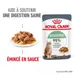 Royal Canin Digestive Care en sauce pour chat