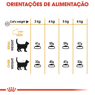 Tabela de orientações de alimentação para gatos: peso 3 kg, 41 g ideal e 33 g excesso; 4 kg, 50 g ideal e 40 g excesso; 5 kg, 59 g ideal e 47 g excesso; 6 kg, 67 g ideal e 53 g excesso.