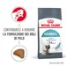 Royal Canin Hairball Care Crocchette gatto