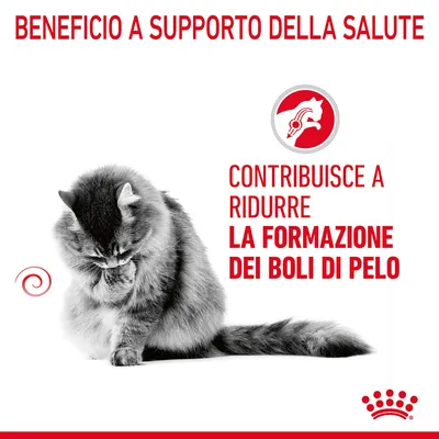 Beneficio a supporto della salute. Contribuisce a ridurre la formazione dei boli di pelo. Immagine di un gatto e simbolo rosso con testa di gatto.